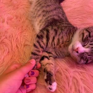 Meet your Posher, Ella